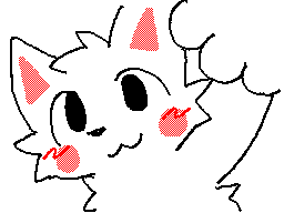 Sillycat（小傻猫）